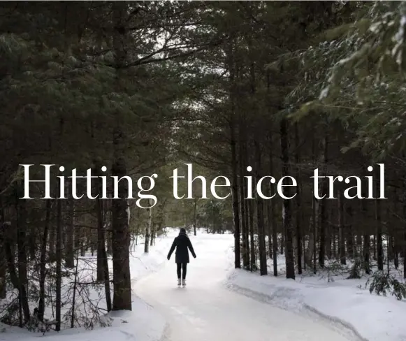  ?? JUSTIN TANG PHOTOS/THE CANADIAN PRESS ?? The Patinage en Forêt ice trail is somewhat narrow, so skaters can’t spread out. But the closeness of the trees, which are adorned with birdfeeder­s, only adds to the wonder.