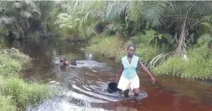  ??  ?? Liberian girls often haul buckets of water from rivers long distances away.