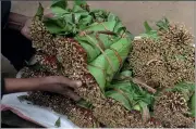  ??  ?? Above: A Kenyan khat trader sorts produce for export.