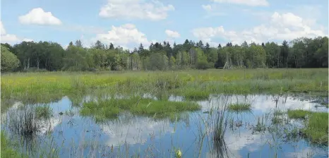  ?? FOTO: FRICK, NICOLE ?? Charakteri­stisch für Oberschwab­en: die Moorlandsc­haft.