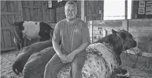  ?? DESIREE ANSTEY/JOURNAL PIONEER ?? Jason Peters is shown with his cattle from Cloverdale Shorthorn farm.