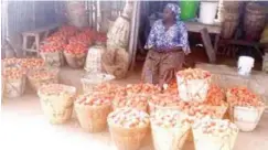  ?? ?? A tomato seller at Cele Bridge Market in Jos
From Dickson S. Adama, Jos