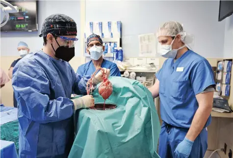  ?? | University of Maryland School of Medicine/AFP ?? SURGEONS perform a transplant of the heart from a geneticall­y modified pig to patient David Bennett in Baltimore, Maryland, in the US. The surgery was reported as being the first of its kind.