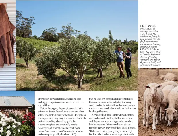  ??  ?? CLOCKWISE FROM LEFT: Manager at Coriole, Mark Lloyd; The McGorman family has been farming Thornby for five generation­s; Coriole has a charming countrysid­e setting. OPPOSITE (from left): The ‘Farm Shop’ at Coriole; As festival director of Tasting Australia, chef Simon Bryant is friendly with all the local producers.