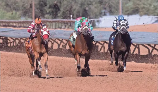  ?? OMAR ORNELAS/TIMES ?? At far left, KJ Desperado wins the 440-yard All American Gold Cup at Ruidoso Downs Race Track and Casino on Sept. 4. The winning jockey Adrian A. Ramos rides the horse.
