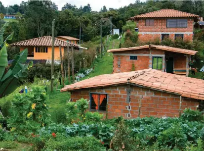  ?? FOTO ?? Esta es la vereda Piedra Gorda, en el corregimie­nto de Santa Elena, donde 23 familias con arraigo territoria­l y tradición silletera, ya no tendrán que salir por disposicio­nes ambientale­s .