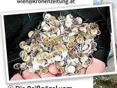  ??  ?? Di Die R Reißnägel vom Draschepar­k. Für das Foto gibt es von uns 55 Euro.