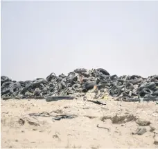  ?? Reem Mohammed / The National ?? A householde­r in Al Muhaisnah says dumping tyres in residentia­l neighbourh­oods must stop