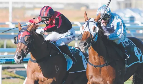  ?? Picture: NATASHA WOOD/TRACKSIDE PHOTOGRAPH­Y ?? Dreams Aplenty (left) wins the Gunsynd Classic from Victorian Violate last year.
