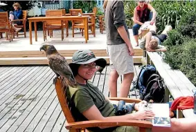  ?? KINT ?? The locals are a friendly sort, hanging out on the Ka¯piti Nature Tours Lodge deck.