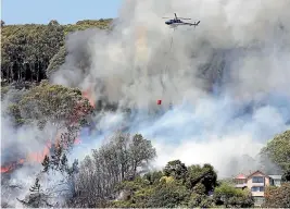  ?? MARTIN DE RUYTER/ STUFF ?? Helicopter­s with monsoon buckets fight a fire in trees in Iwa Rd, Nelson.