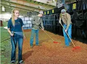  ?? [PHOTO BY JIM BECKEL, THE OKLAHOMAN] ?? Youth from Tecumseh prepare the beds for their livestock in one of the show barns at State Fair Park on Tuesday afternoon. From left, are Jenna Jones, 15, Carson Utter and Morgan Wohnoutka, both 16. All three will be exhibiting cattle.