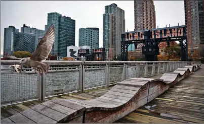  ?? The Associated Press ?? ECONOMIC EQUATION: A seagull flies off holding fish scraps on Nov. 13 near a former dock facility with “Long Island” painted on old transfer bridges at Gantry State Park in the Long Island City section of the Queens Borough in New York. New York officials say their deal to land a new Amazon headquarte­rs is a big win for the city, but the math is a little more complicate­d than government projection­s indicate.