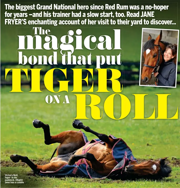  ??  ?? Victory Roll: Tiger in his paddock. (Right) Jane has a cuddle