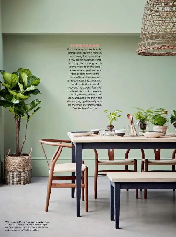  ??  ?? Wall painted in Mellow Sage matt emulsion, from £14 for 2.5L, Crown. For a similar pendant light, try French Connection Home. For similar furniture and accessorie­s, try The Conran Shop