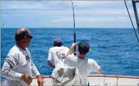  ??  ?? Le 27ème championna­t du monde de Big Game Fishing aura lieu cette année à Frontignan du 29 septembre au 6 octobre.