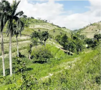  ??  ?? La région de Labrousse en Haïti, avant le passage de l’ouragan Matthew.