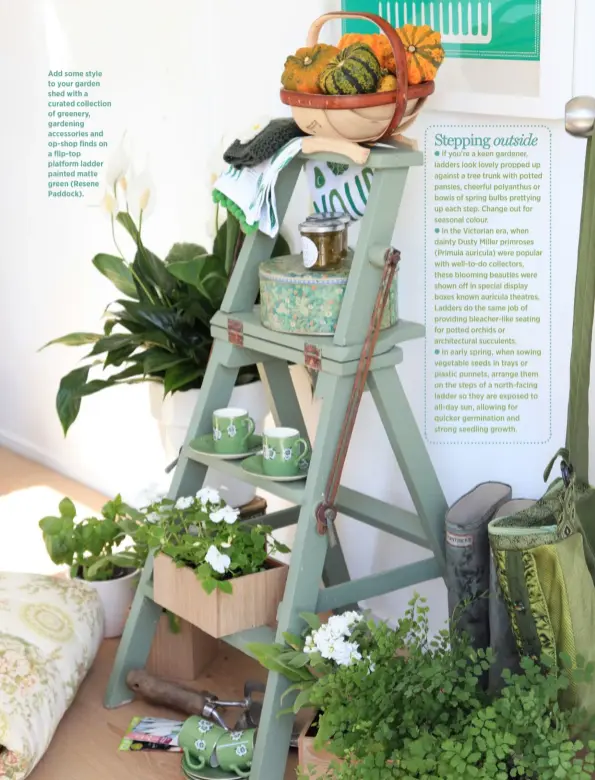  ??  ?? Add some style to your garden shed with a curated collection of greenery, gardening accessorie­s and op-shop finds on a flip-top platform ladder painted matte green (Resene Paddock).