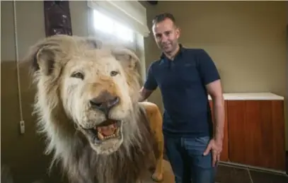  ?? FOTO KAREL HEMERIJCKX ?? “De meeste mensen schrikken wel even wanneer ze de leeuw zien”, zegt Wim Thijs.