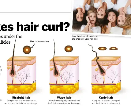 What Makes Hair Straight Wavy Or Curly Pressreader