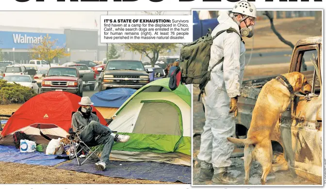  ??  ?? IT’S A STATE OF EXHAUSTION: Survivors find haven at a camp for the displaced in Chico, Calif., while search dogs are enlisted in the hunt for human remains (right). At least 76 people have perished in the massive natural disaster. :