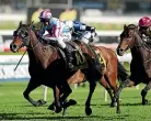  ?? GETTY IMAGES ?? Etah James and jockey Glen Boss hold out The Chosen One in the Sydney Cup yesterday.