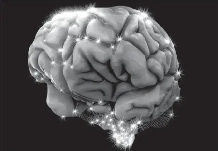  ??  ?? Brain tissue samples from people of all ages suggest we stop growing new neurons in our early teens.