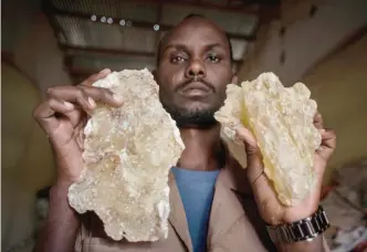  ??  ?? In this Aug 6, 2016 photo, a man holds up two large tears of maydi, the large, most expensive chunks of frankincen­se resin, in Burao, Somaliland, a breakaway region of Somalia. — AP