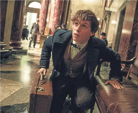  ??  ?? HARRY Potter prequel Fantastic Beasts And Where To Find Them has received warm reviews.
The film marks the screenwrit­ing debut of JK Rowling herself and stars Eddie Redmayne (above) as young wizard Newt Scamander.
Harry Potter film-maker David Yates...