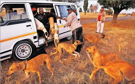  ?? Picture: KIM LUDBROOK/EPA ?? PROTECTED: Poacher Wolutu Koti, who threatened the unique biodiversi­ty of the West Coast, was found guilty of hunting protected and unprotecte­d wild animals with dogs.