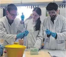  ?? FOTO: IMMANUEL-KANT-GYMNASIUM ?? Schüler beim Landessemi­nar Chemie (von links): Nikita Khutorni, Katharina Hamburg und Florian Förster