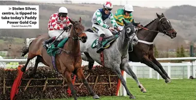  ?? David Davies/PA ?? Stolen Silver, centre, is tipped to take today’s Paddy Power Gold Cup