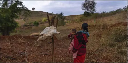  ?? RAFIQ MAQBOO — THE ASSOCIATED PRESS ?? An Indigenous woman holds her son as she walks past a cow’s skull hanging off a stick in a field in Chandragad village, in Ambikapur district, Chhattisga­rh state, in March. India’s health system is severely stretched.