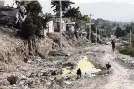  ??  ?? Goats wander along a makeshift dirt road that passes by the Teren Toto camp on the border of the cities of Tabarre and Delmas in Haiti.