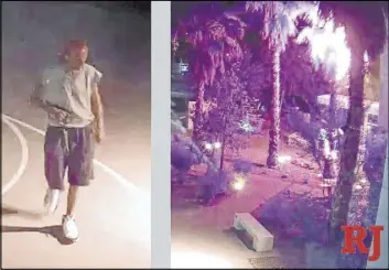  ?? Gay and Lesbian Community Center of Southern Nevada ?? Security footage at the Gay and Lesbian Community Center of Southern Nevada shows a man setting fire to a tree outside its main entrance Thursday.