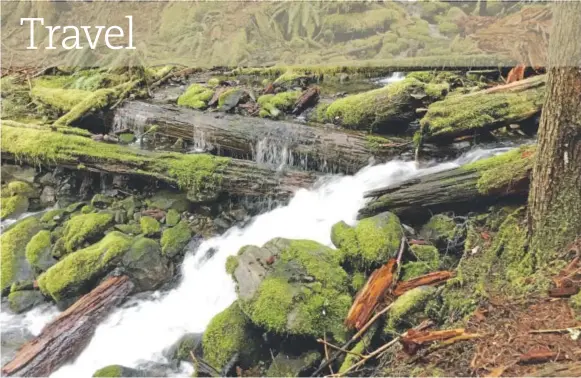  ?? Photo by Reid Wilson for The Washington Post ?? A stream burbles by the trail to Sol Duc Falls, emptying into the Sol Duc River.