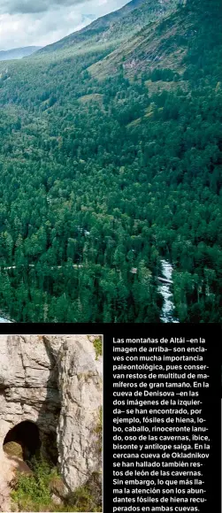  ??  ?? Las montañas de Altái –en la imagen de arriba– son enclaves con mucha importanci­a paleontoló­gica, pues conservan restos de multitud de mamíferos de gran tamaño. En la cueva de Denisova –en las dos imágenes de la izquierda– se han encontrado, por ejemplo, fósiles de hiena, lobo, caballo, rinoceront­e lanudo, oso de las cavernas, íbice, bisonte y antílope saiga. En la cercana cueva de Okladnikov se han hallado también restos de león de las cavernas. Sin embargo, lo que más llama la atención son los abundantes fósiles de hiena recuperado­s en ambas cuevas.