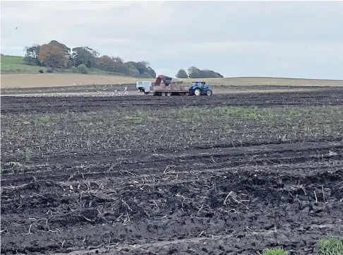  ??  ?? QUAGMIRE: Harvesting potatoes in wet fields in Angus mirrors the picture across much of Scotland.