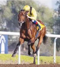  ??  ?? Draco, ridden by Chris Hayes, races towards the finish line to win 1600m Shadwell race at the Jebel Ali racecourse on Friday.