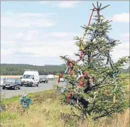  ??  ?? Cars zoom past one of the mysterious trees on the M77.