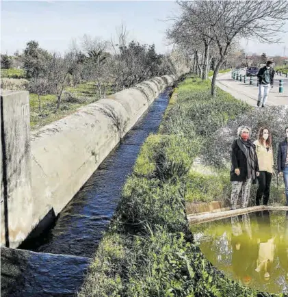  ?? SILVIA SÁNCHEZ FERNÁNDEZ ?? El Marco
La Ribera, a su paso por la Ronda de Vadillo. Al lado, Salaya, Licerán, Costa y Pulido en los abrevadero­s.