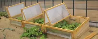  ?? JORDAN MONCRIEFF ?? These cold frames from Freedom Growing are a good alternativ­e for those without the space or cash to purchase a greenhouse.