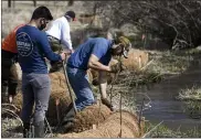  ??  ?? Berks County Conservati­on District employees Juan Bol, left, and Evan Corondi, put live stakes in the coir logs along the Valley Run Creek at Frontier Pastures, a farm in Washington Township.