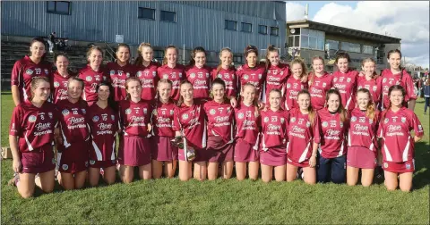  ??  ?? St. Martin’s, pictured here after their county final triumph, will now take on St. Vincent’s in the Leinster final in Ashbourne on November 17.