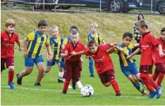  ?? Fotos: Reinhold Rummel ?? 35 Mannschaft­en waren beim Nachwuchst­urnier des TSV Dasing (rote Trikots) am Start. Zwei Mal den Siegerpoka­l in die Höhe strecken konnte der SV Germering (rechts).