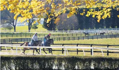  ?? KENNETH K. LAM/BALTIMORE SUN ?? Riders venture out on a cold day at Merryland Farm, a horse training center in Hydes in Baltimore County. A study released Monday by the Sage Policy Group said Maryland’s horse industry is rebounding at an accelerati­ng pace.