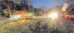  ?? HT PHOTO ?? ▪ A tree lying on the street after thundersto­rm lashed the state capital late on Friday night.