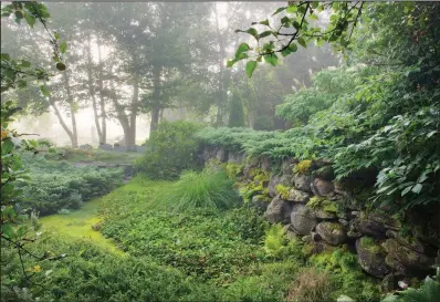  ?? (Bill Noble/Timber Press via The Washington Post) ?? Planted on the site of an old farm structure, the Stable garden is a tapestry of muted greens and textures to create a tranquil mood.