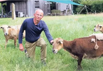  ?? FOTO: GERD HERMANN ?? Benedikt Hüttemann züchtet in Schermbeck-Bricht Nolana-Schafe. Die Wolfsattac­ke war die erste auf seinem Hof – und eine Ausnahme, hofft er.