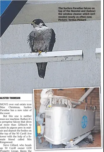  ?? Picture: Tertius Pickard ?? The Surfers Paradise falcon on top of the Novotel and (below) the window cleaner which isn’t needed nearly as often now.